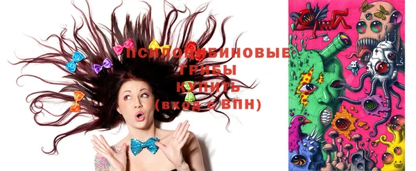 индика Ростов