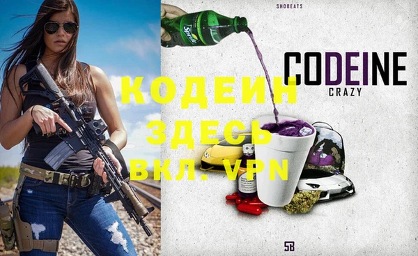 индика Ростов
