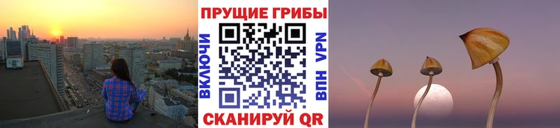 mega маркетплейс  Дальнегорск  Галлюциногенные грибы прущие грибы  где найти  